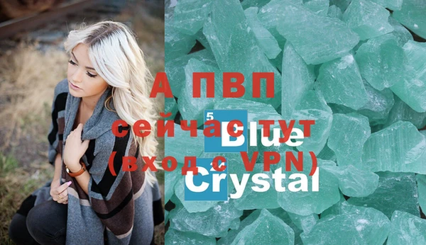 стафф Волоколамск