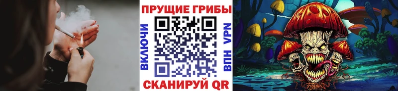 наркота  mega ССЫЛКА  Псилоцибиновые грибы Cubensis  Вышний Волочёк 